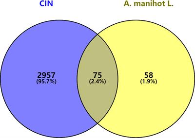 Mechanism of Abelmoschus manihot L. in the Treatment of Contrast-Induced Nephropathy on the Basis of Network Pharmacology Analysis